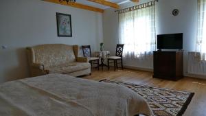 a bedroom with a bed and a chair and a television at Pensiunea Valea Muntelui in Bîrsana