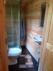 een badkamer met een toilet en een wastafel bij domik in Lapmežciems