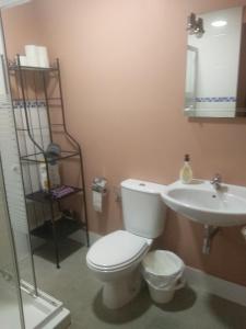 y baño con aseo y lavamanos. en Apartamento Centro Santa Catalina 1º B, en Sevilla
