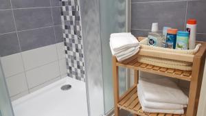 Kúpeľňa v ubytovaní Apartmán Pod Zámkem + 9 fotografií