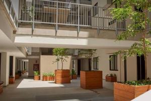 un couloir vide avec des plantes en pot dans un bâtiment dans l'établissement Guadalajara hermoso con Gym, Alberca, Billar, confortable y acogedor, à Guadalajara