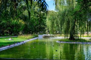 um lago num parque com patos na água em Small folksy studio Kochanowskiego St em Cracóvia