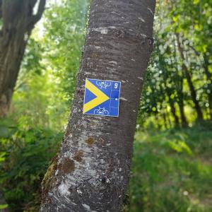 Fotografie z fotogalerie ubytování Ferienhaus Alexandra v destinaci Böllenborn
