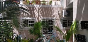 Fotografie z fotogalerie ubytování Kika Studios v destinaci Playa del Carmen