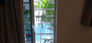 Fotografie z fotogalerie ubytování Kika Studios v destinaci Playa del Carmen