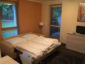 Postel nebo postele na pokoji v ubytování Apartman Harrachov