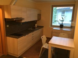 Kuchyň nebo kuchyňský kout v ubytování Apartman Harrachov
