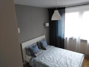 een slaapkamer met een bed met blauwe kussens en een raam bij Apartament Wrocław przy Rynku in Wrocław