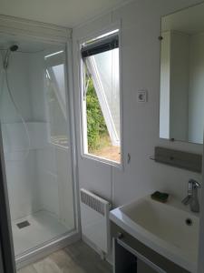a bathroom with a shower and a sink and a mirror at Nature Monchy in Campneuseville