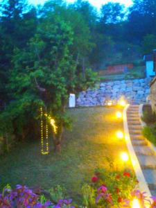 - un jardin avec des lumières sur l'herbe la nuit dans l'établissement Chez Petit, à Argançon