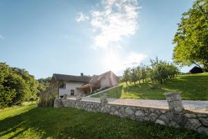 a stone wall in front of a house at Vineyard cottage Radulja in Smarjeske Toplice