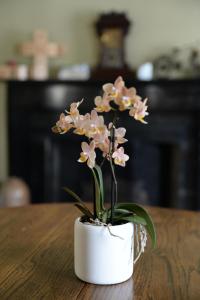 a white vase with pink flowers on a table at The Bed and Breakfast at Oliver Phelps in Canandaigua