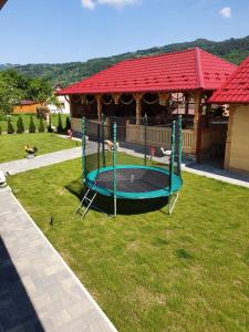 a small trampoline in a yard with a gazebo at Casa Alexandru – Locul în care te simți acasă in Vişeu de Jos