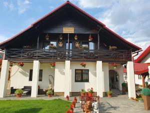 a house with a black and white at Casa Alexandru – Locul în care te simți acasă in Vişeu de Jos