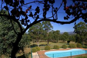 a swimming pool in a park with a fence and trees at Englewood Ridge in Lovedale