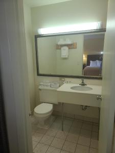 a bathroom with a sink and a toilet and a mirror at Budget Inn - Farmington in Farmington