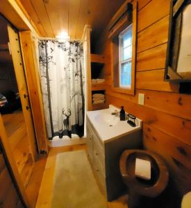 a bathroom with a sink and a toilet and a window at Lil' Log at Hearthstone Cabins and Camping - Pet Friendly in Helen