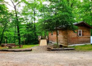 une cabane en rondins avec une rampe en bois et une aire de jeux dans l'établissement Lil' Log at Hearthstone Cabins and Camping - Pet Friendly, à Helen