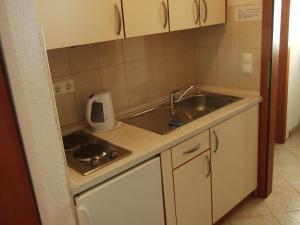 Kuchyň nebo kuchyňský kout v ubytování Apartmani ''Srečko'' Drašnice