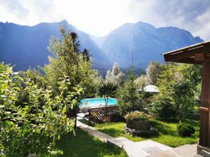 a garden with a swimming pool and mountains in the background at Vila Alunis in Buşteni