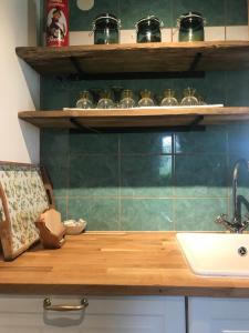 eine Küche mit grünen gefliesten Wänden und einem Waschbecken in der Unterkunft Getreidekasten auf einer Lamafarm in Oberndorf an der Melk