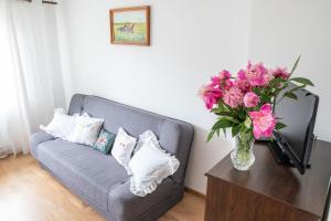 Televízia a/alebo spoločenská miestnosť v ubytovaní Apartament Na Wierchu