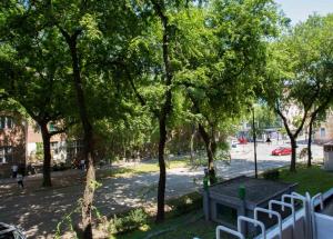 uma vista para um parque com árvores e uma mesa em Apartman Petreš em Sombor