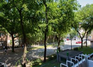 Zahrada ubytování Apartman Petreš