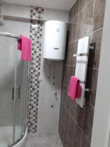A bathroom at Apartman Petreš