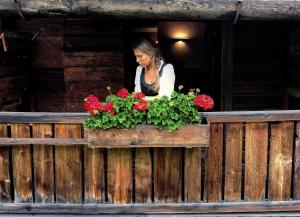 Gestir sem dvelja á Chalet Svizzero
