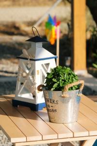 a plant in a pot next to a bird house at Thealassa in Kalliópi