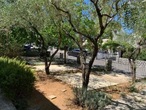 Vonkajšia záhrada v ubytovaní Apartment GardenView - New!