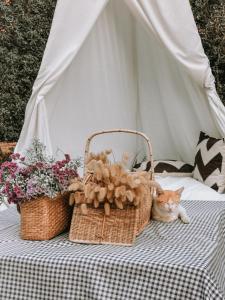 Fotografie z fotogalerie ubytování The Peem Hotel v destinaci Ban Na