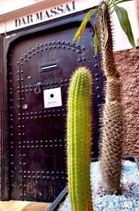 a cactus sitting in front of a garage door at Riad Dar Massai in Marrakesh