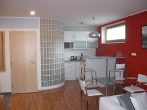 Kuchyň nebo kuchyňský kout v ubytování Apartmán Anežka