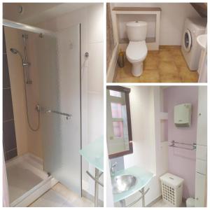 2 Bilder eines Badezimmers mit Dusche und WC in der Unterkunft DUPLEX "Au Village" 89120 Dicy in Dicy
