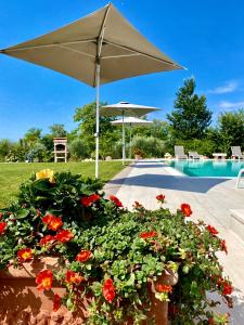 un ombrellone e fiori nel patio accanto alla piscina di Poggio Bardolino a Bardolino