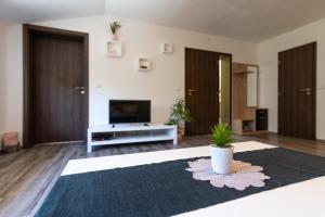 TV a/nebo společenská místnost v ubytování Apartmán U Křížku