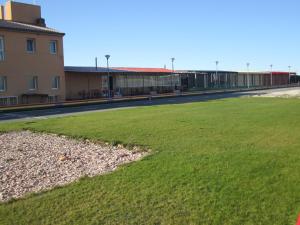 ein großes Grasfeld neben einem Gebäude in der Unterkunft Albergue Centro de Ocio Luis Miguel 