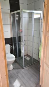 y baño con aseo y cabina de ducha de cristal. en ZYGAdomki, en Gąski