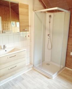 a bathroom with a shower and a sink at 200 Jahre altes Landhaus mit Tieren in Goldenstedt