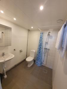 a bathroom with a toilet and a sink at Byxelkrok, Solis in Byxelkrok +13 photos