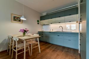 Kuchyňa alebo kuchynka v ubytovaní LTC Apartments Silva