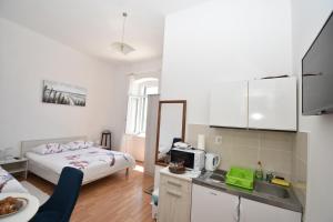 Кухня или мини-кухня в Apartmani Rina
