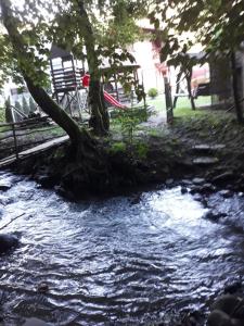 Casa Roland في سوفاتا: شجرة جالسة على جانب مجرى الماء