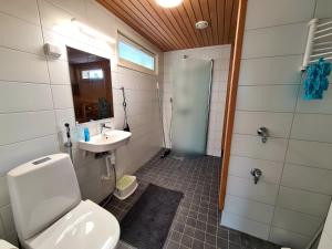 a bathroom with a toilet and a sink and a shower at Kopparö Tammisaari in Tammisaari