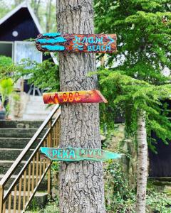 uma árvore com sinais ligados a uma árvore em Sirena Holiday Park em Kamchia