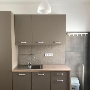 kuchnia z brązowymi szafkami i zlewem w obiekcie Avas Apartman w Miszkolcu