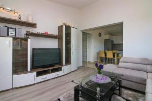 TV a/nebo společenská místnost v ubytování Conte Čikara Apartment