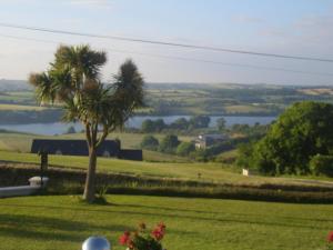 a palm tree in a field with a lake in the background at Rivermount House in Kinsale